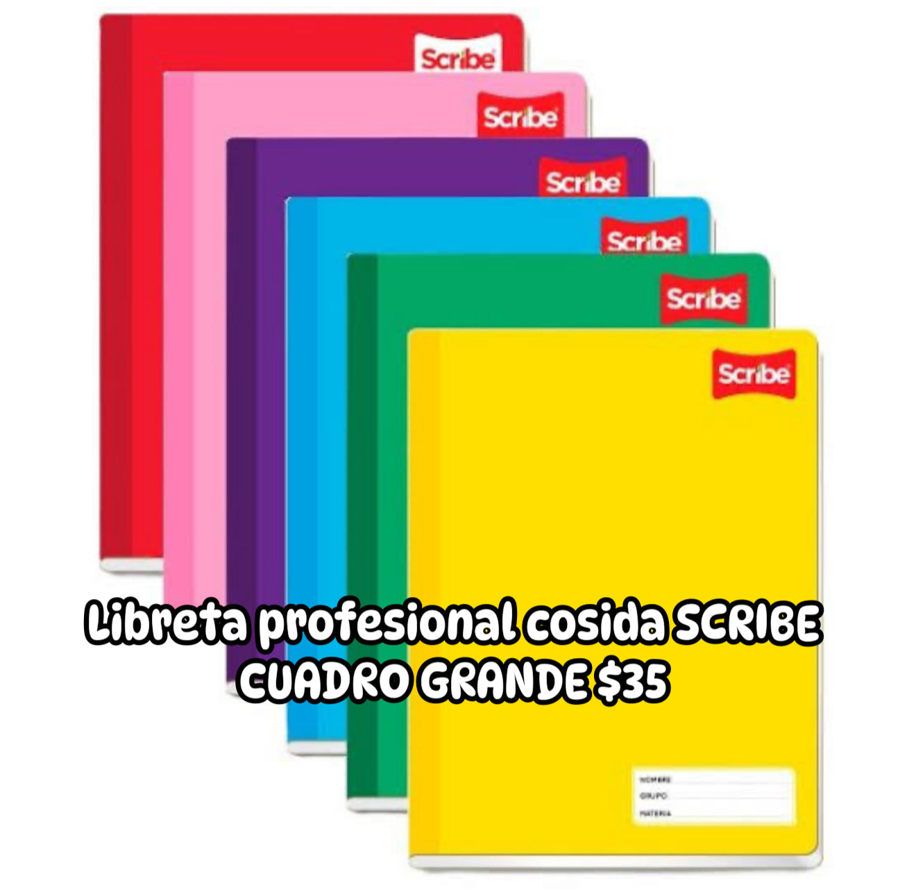 Libreta profesional cosida cuadro grande SCRIBE