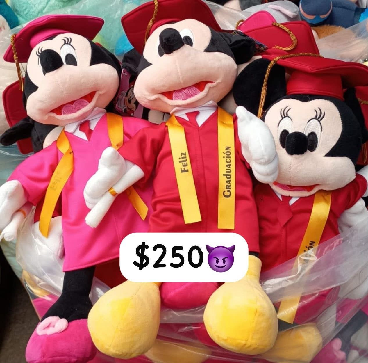 Peluche minnie graduacion