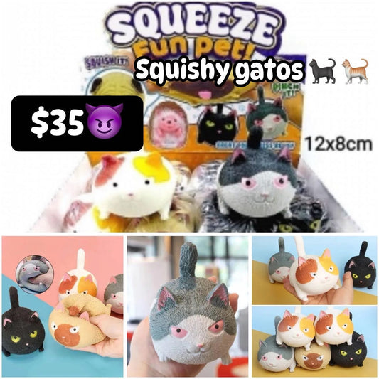 Squishy gatos