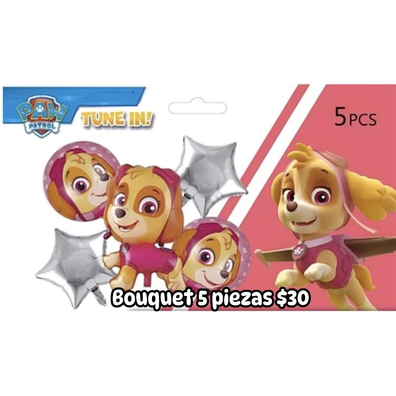 Bouquet 5 globos Sky paw patrol