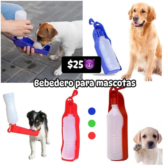 Bebedero para mascotas