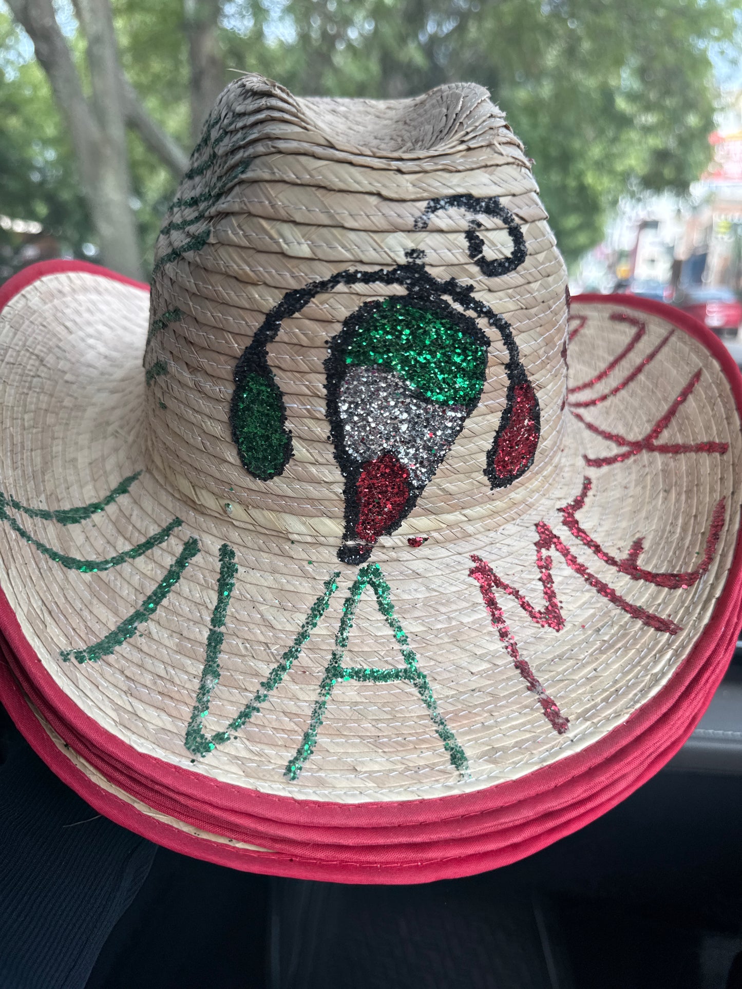 Sombrero chico viva México