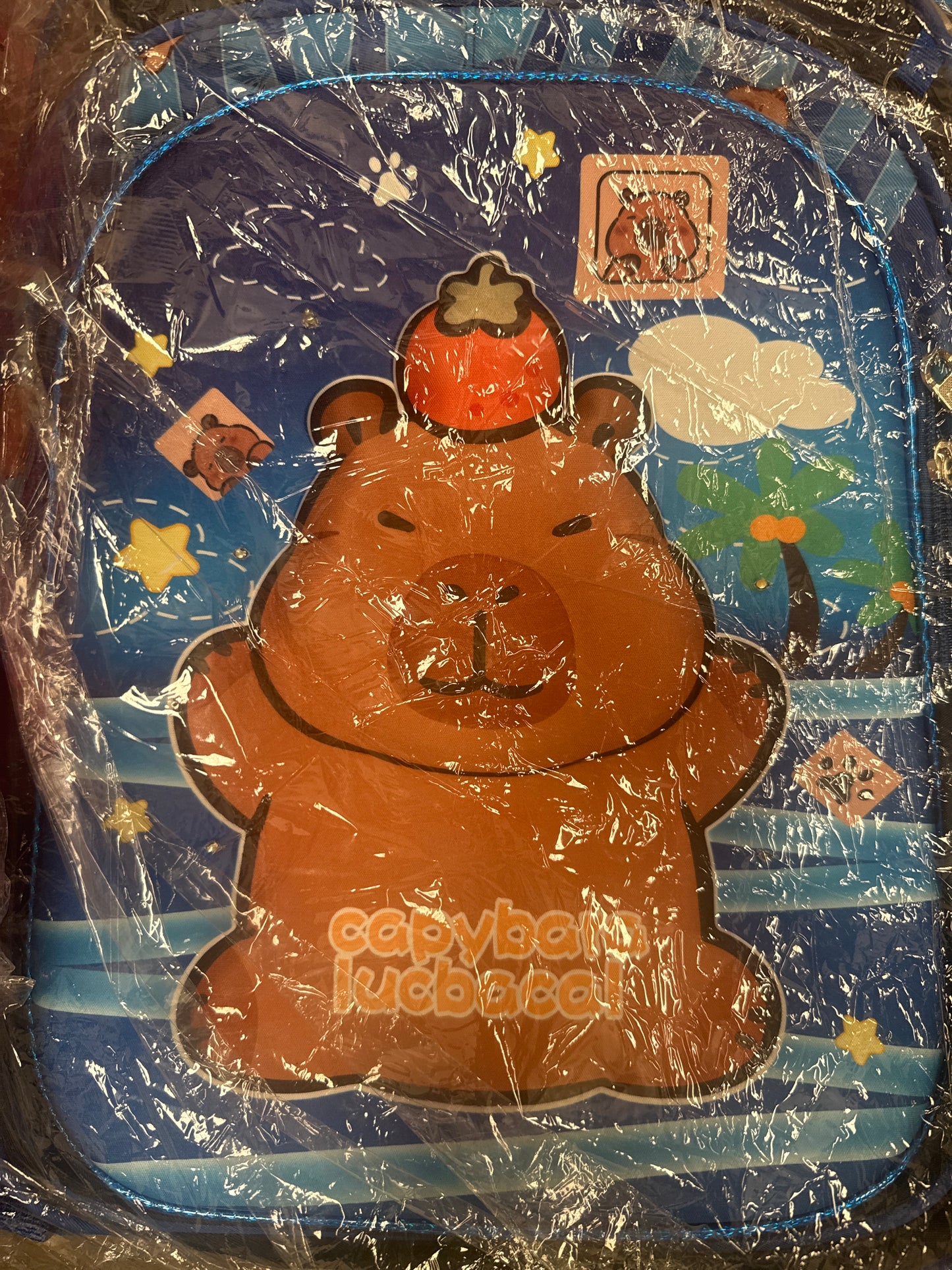 Mochila combo primaria capibara NIÑO AZUL