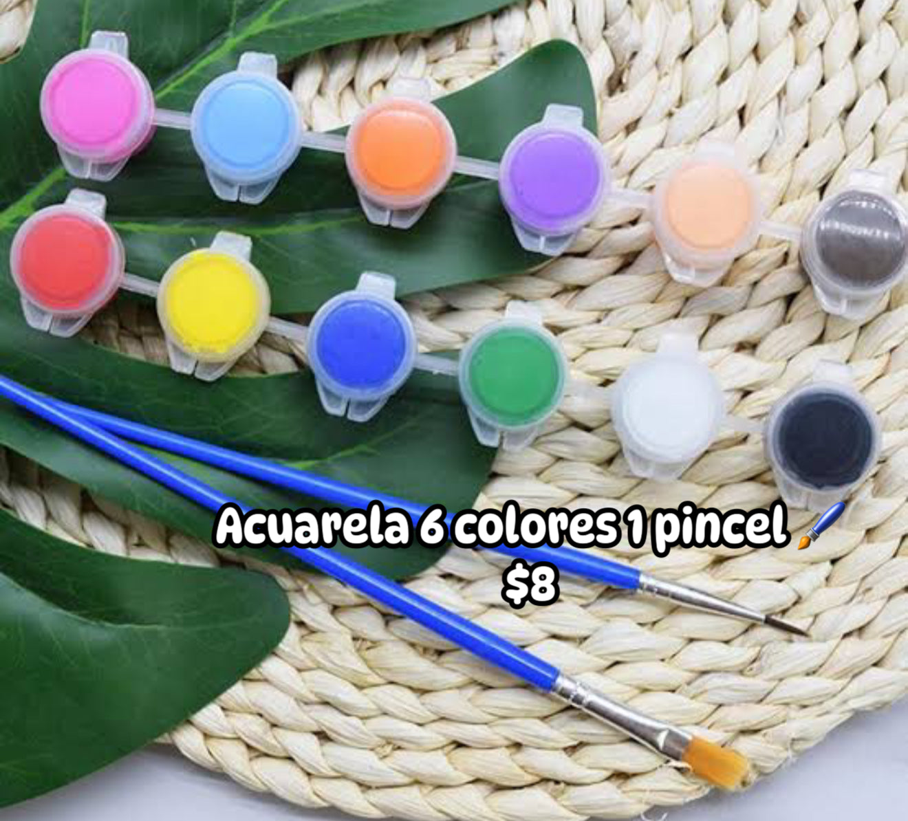 Acuarela 6 piezas y 1 pincel