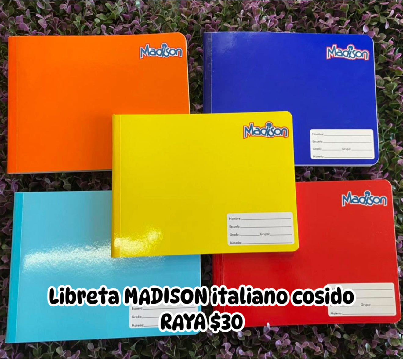 Libreta MADISON italiano cosido RAYA