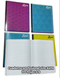 Cuaderno profesional zinc 100 hojas