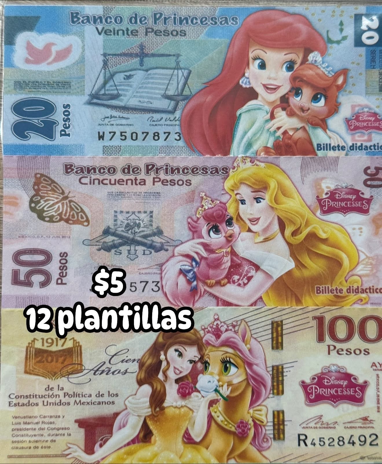 Plantillas billetes didacticos