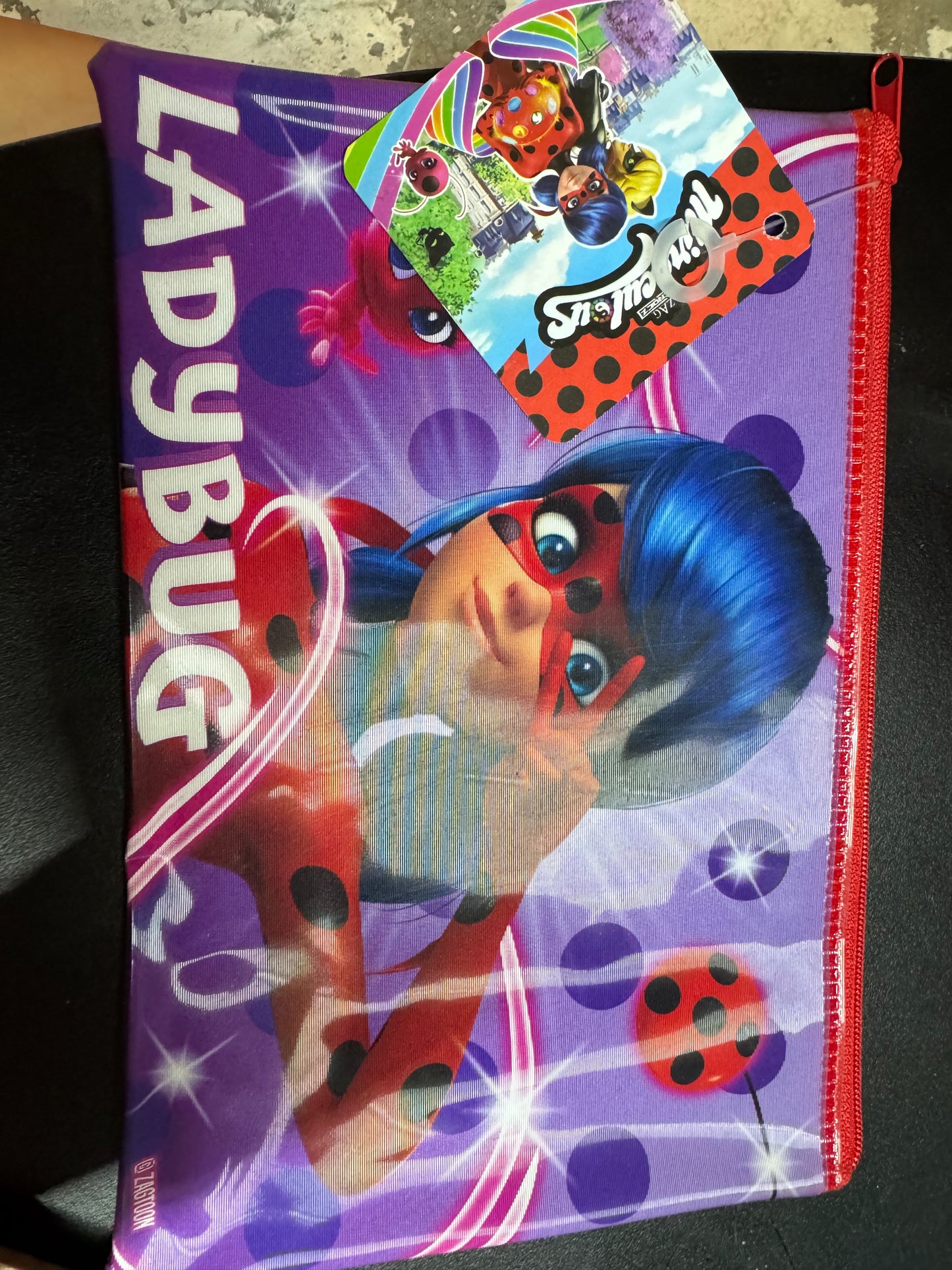 LAPICERA LADY BUG